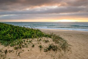 Una playa con arena y vegetación verde.