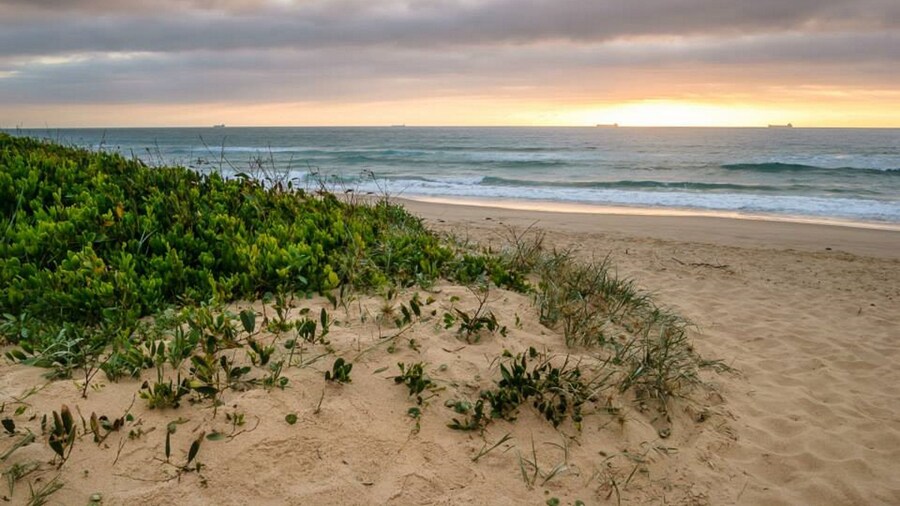 Wollongong Surf Leisure Resort