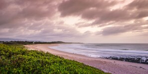 Una playa con arena, vegetación verde y cielo nublado.