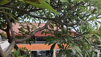 Outdoor pool, open 8:00 AM to 10:00 PM, pool umbrellas, sun loungers