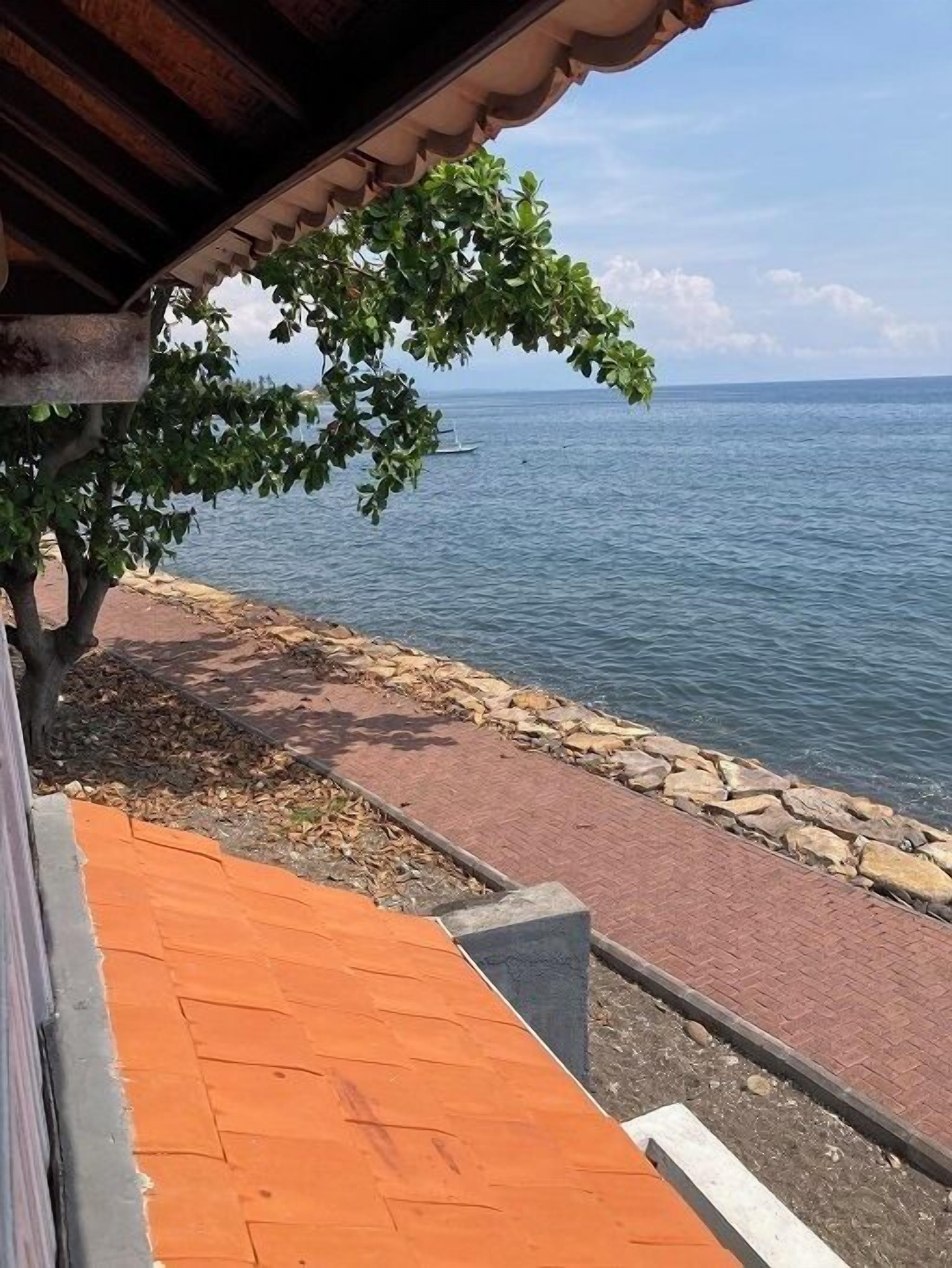 A coastal walkway with a stone railing, a tree, and a view of the sea.