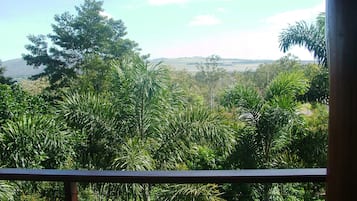 Vista desde la propiedad