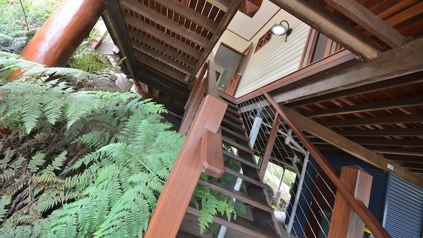 Una escalera de madera con barandilla de metal, rodeada de frondosos helechos verdes.