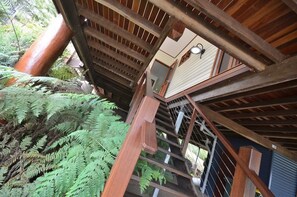 A wooden staircase with a metal railing, surrounded by lush green ferns. - The Summit B&B (Atherton)