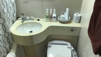 Hair dryer, slippers, electronic bidet, towels