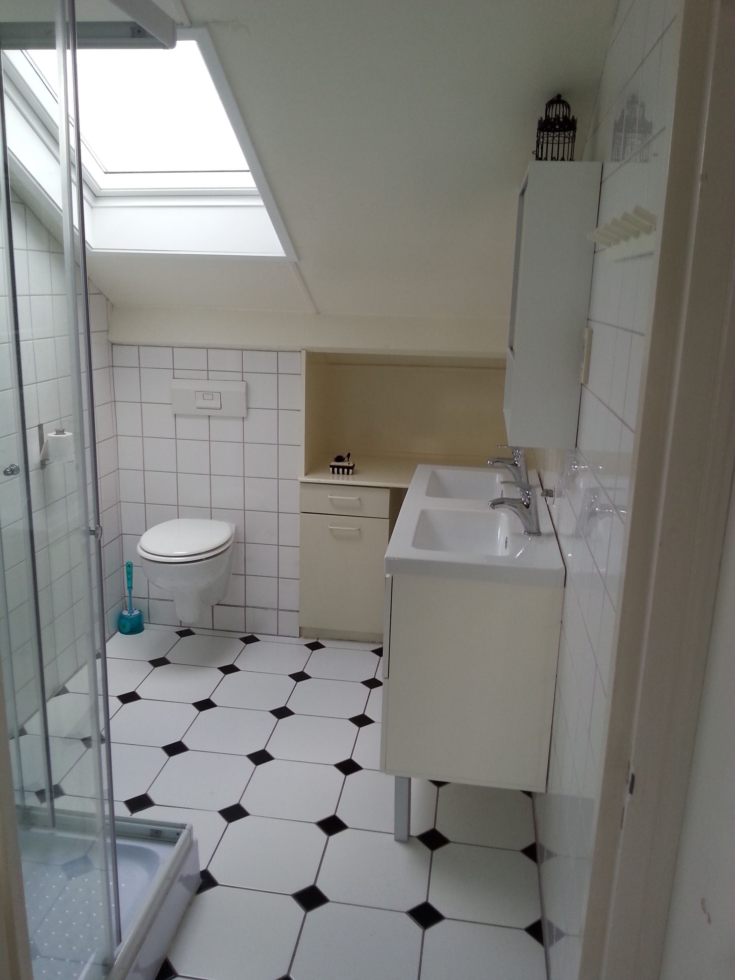 A compact bathroom with a skylight, a toilet, a sink, and a shower area.