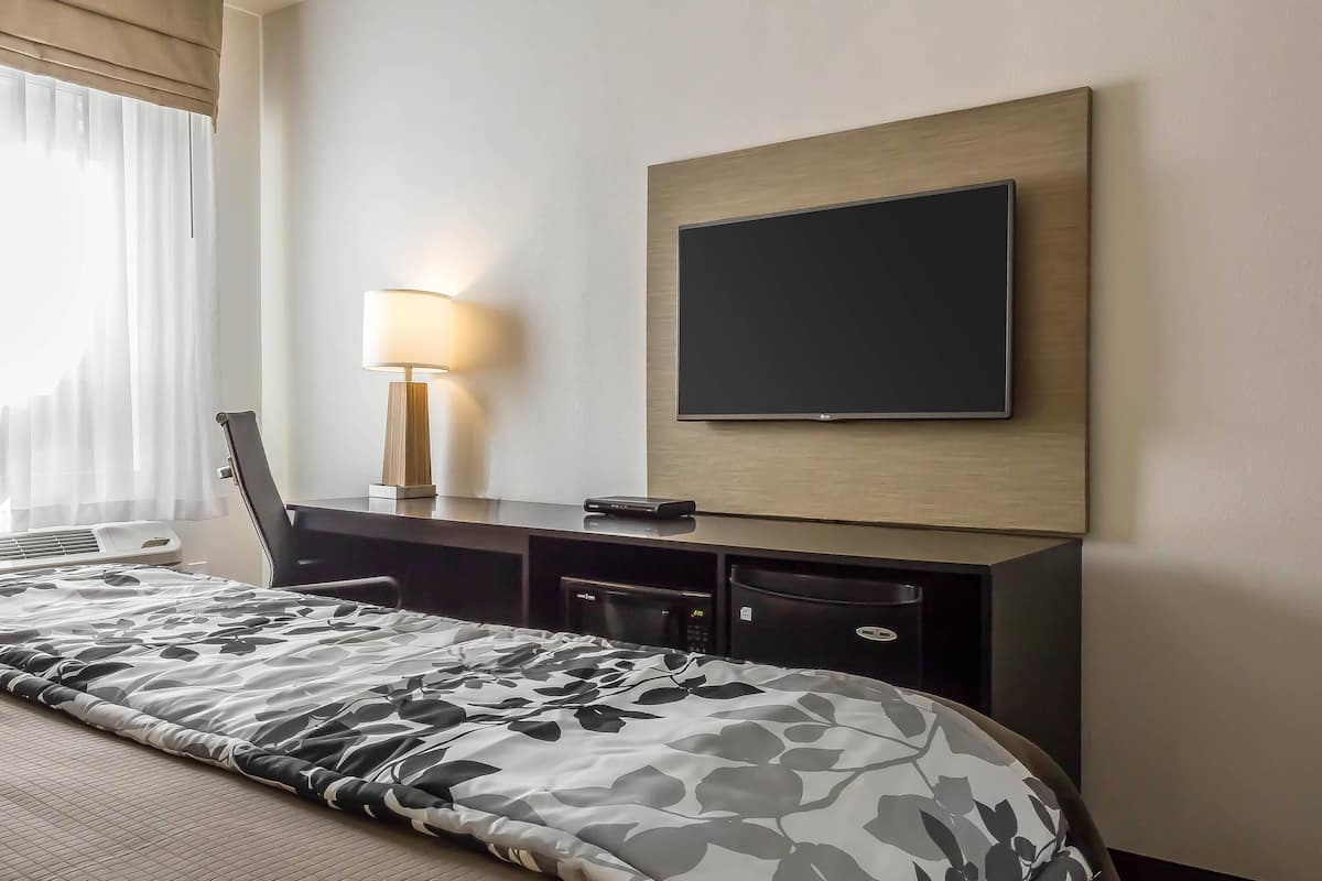 In-room safe, desk, iron/ironing board, rollaway beds