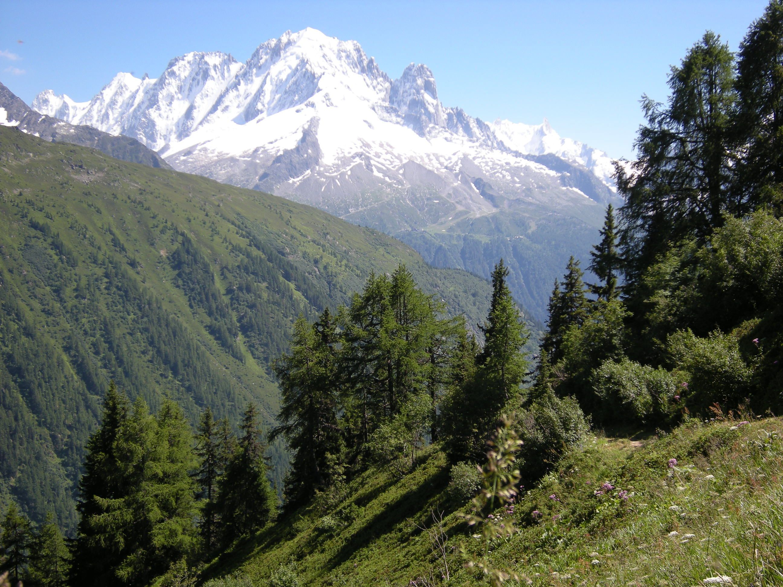 山景