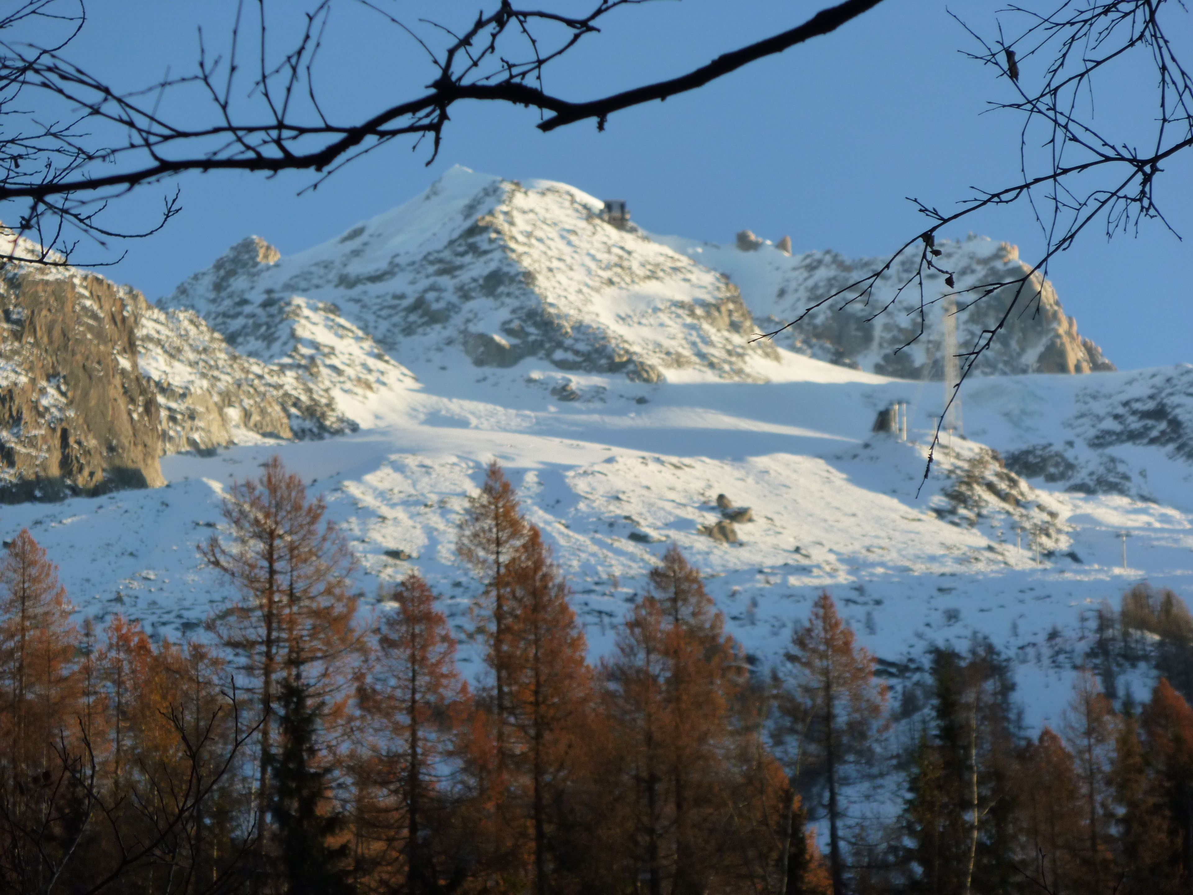 A mountainous landscape with snow-covered peaks and a forest of trees in the foreground.