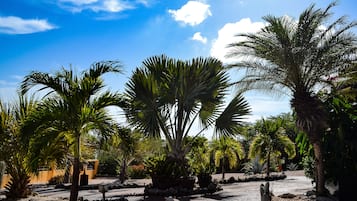 Puutarha