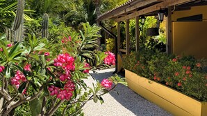 Iguana View Studio | Terrasse/patio