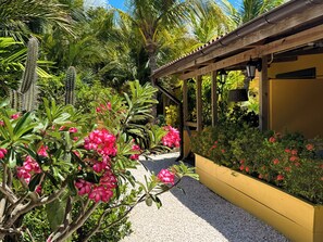 Iguana View Studio | Terrace/patio - Jan Kok Lodges (Sint Willibrordus)