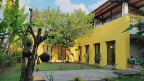 Un edificio amarillo con jardín, plantas en macetas y un árbol.