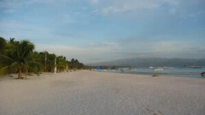 Ein Strand mit Palmen, einem klaren Himmel und Booten im Wasser.