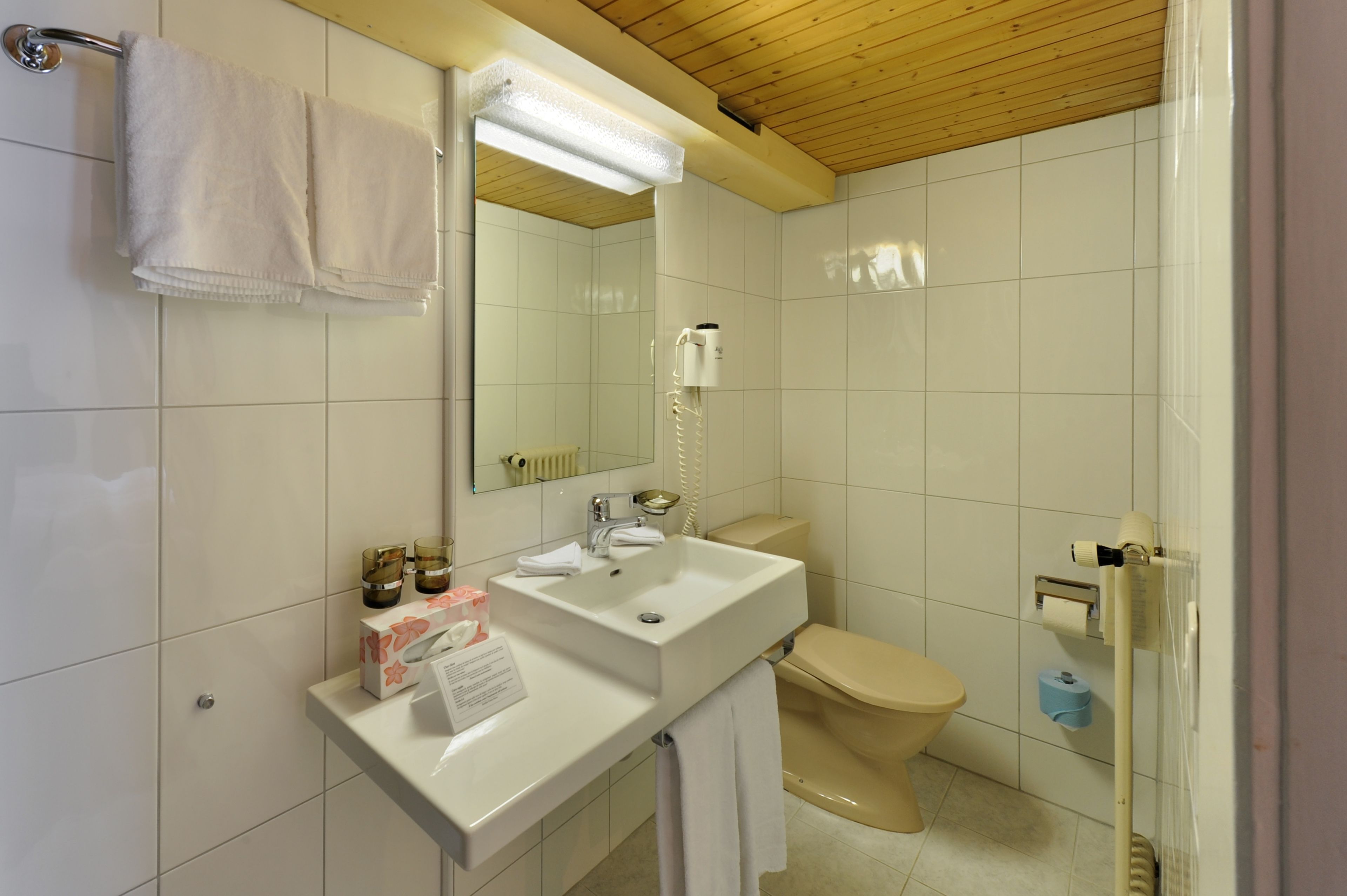 free toiletries, hair dryer, towels