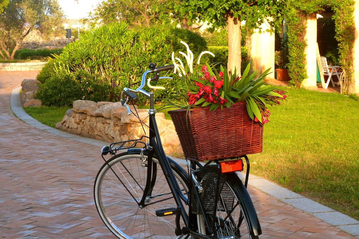 En cykel med kurv, der indeholder røde blomster, parkeret på en murstenssti.
