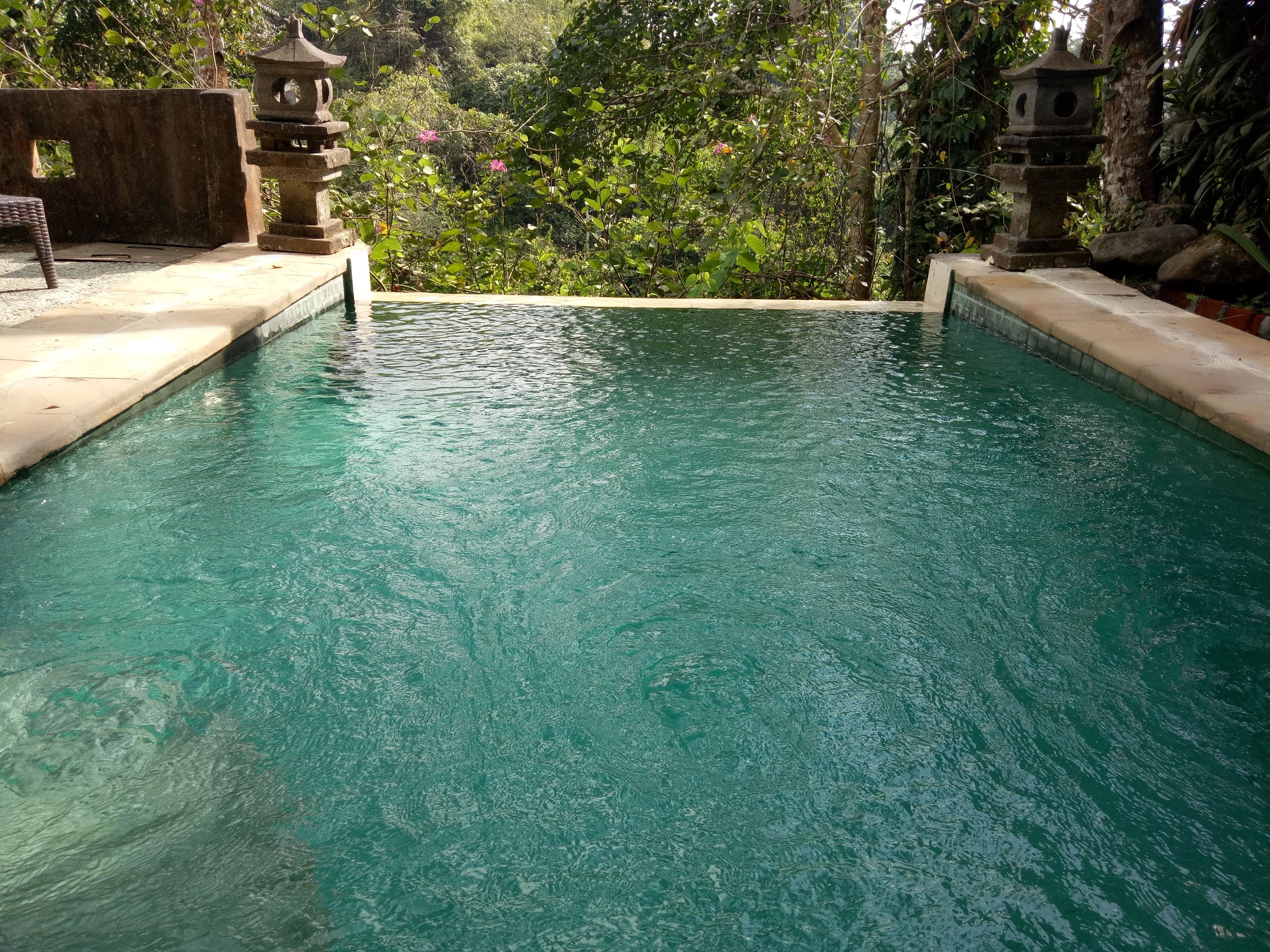 suite room premiere with private pool | view from room