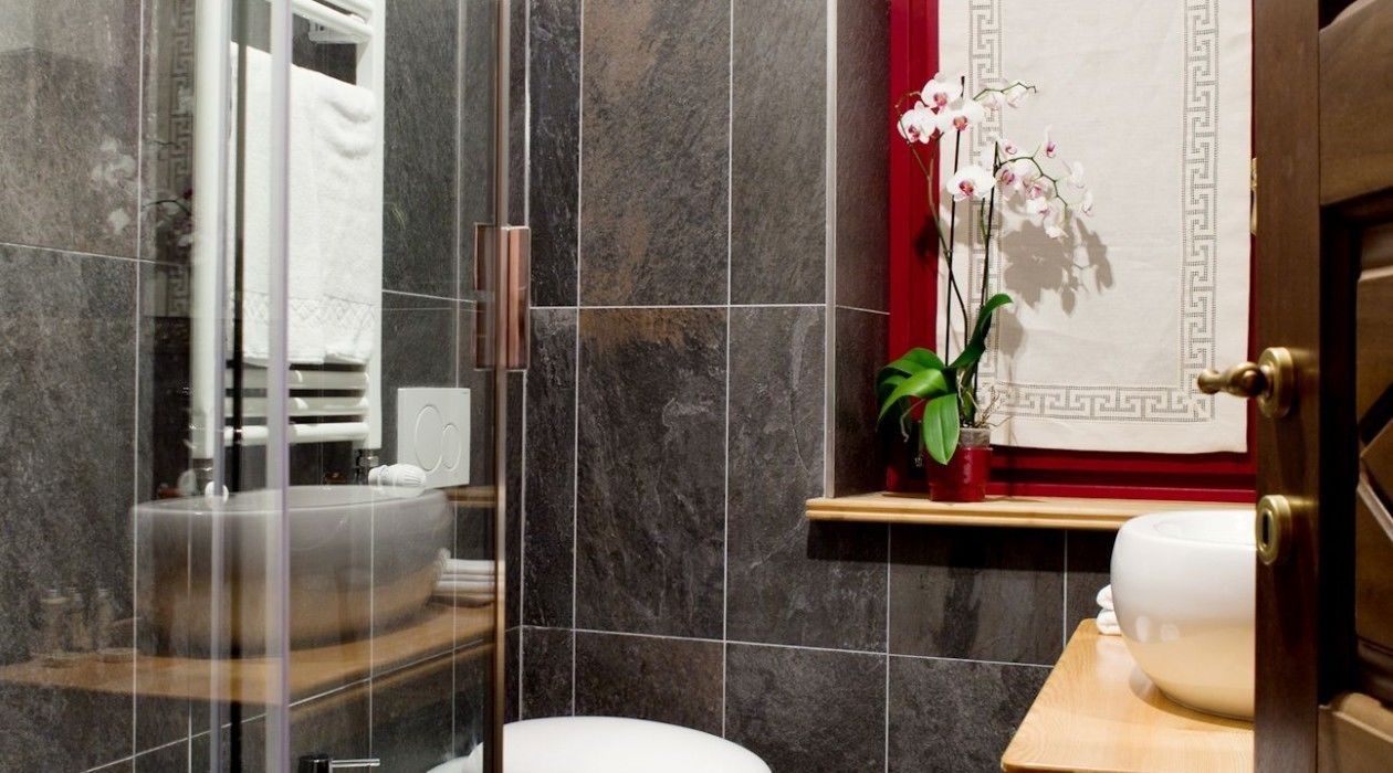 Shower, free toiletries, hair dryer, bidet