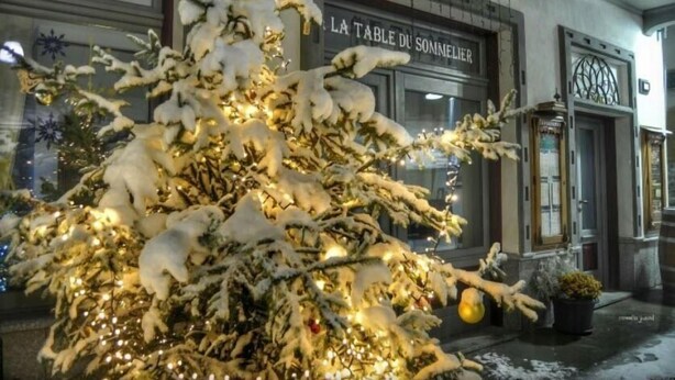Un árbol de Navidad cubierto de nieve frente a un edificio con un letrero que dice "LA TABLE DU SONNELIER".