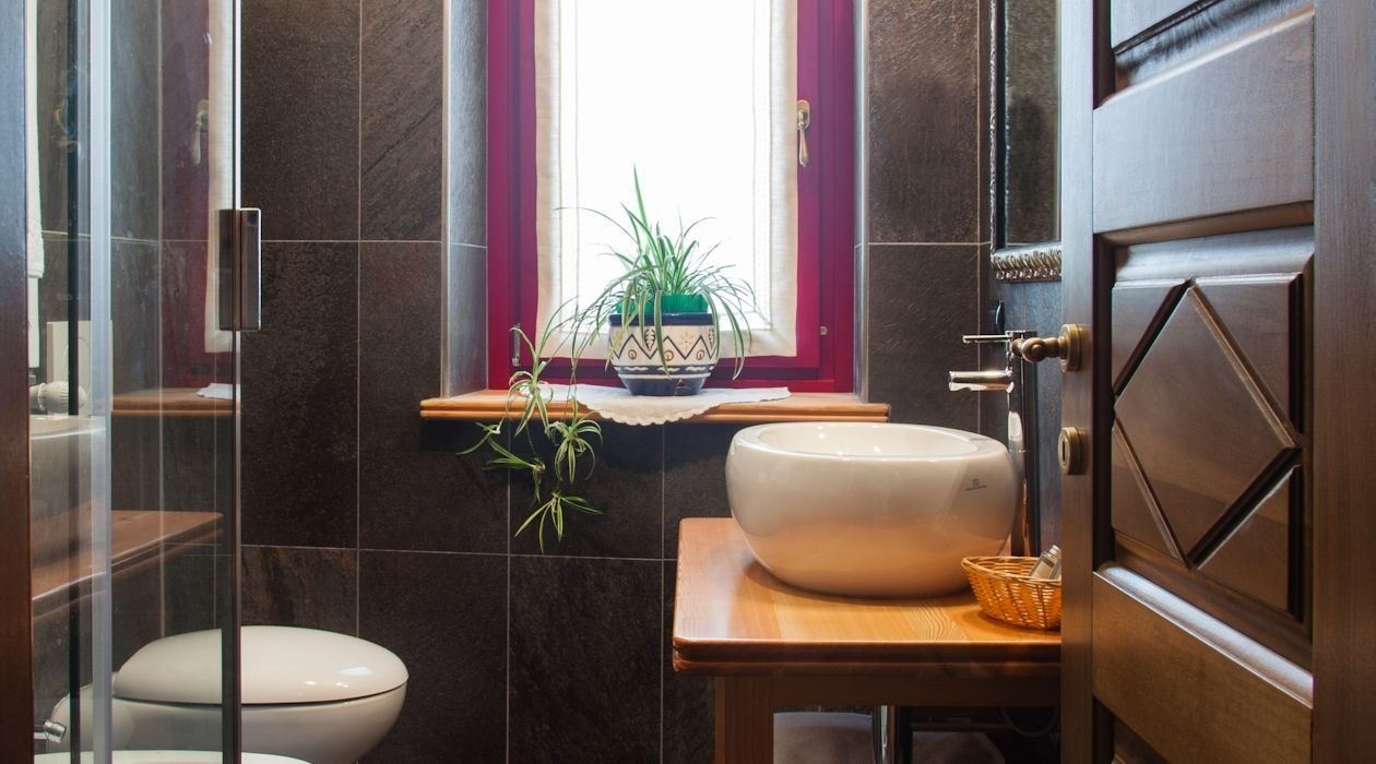 A bathroom with a white toilet, a large white sink, a potted plant on a window sill, and a wooden vanity.