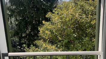 露台