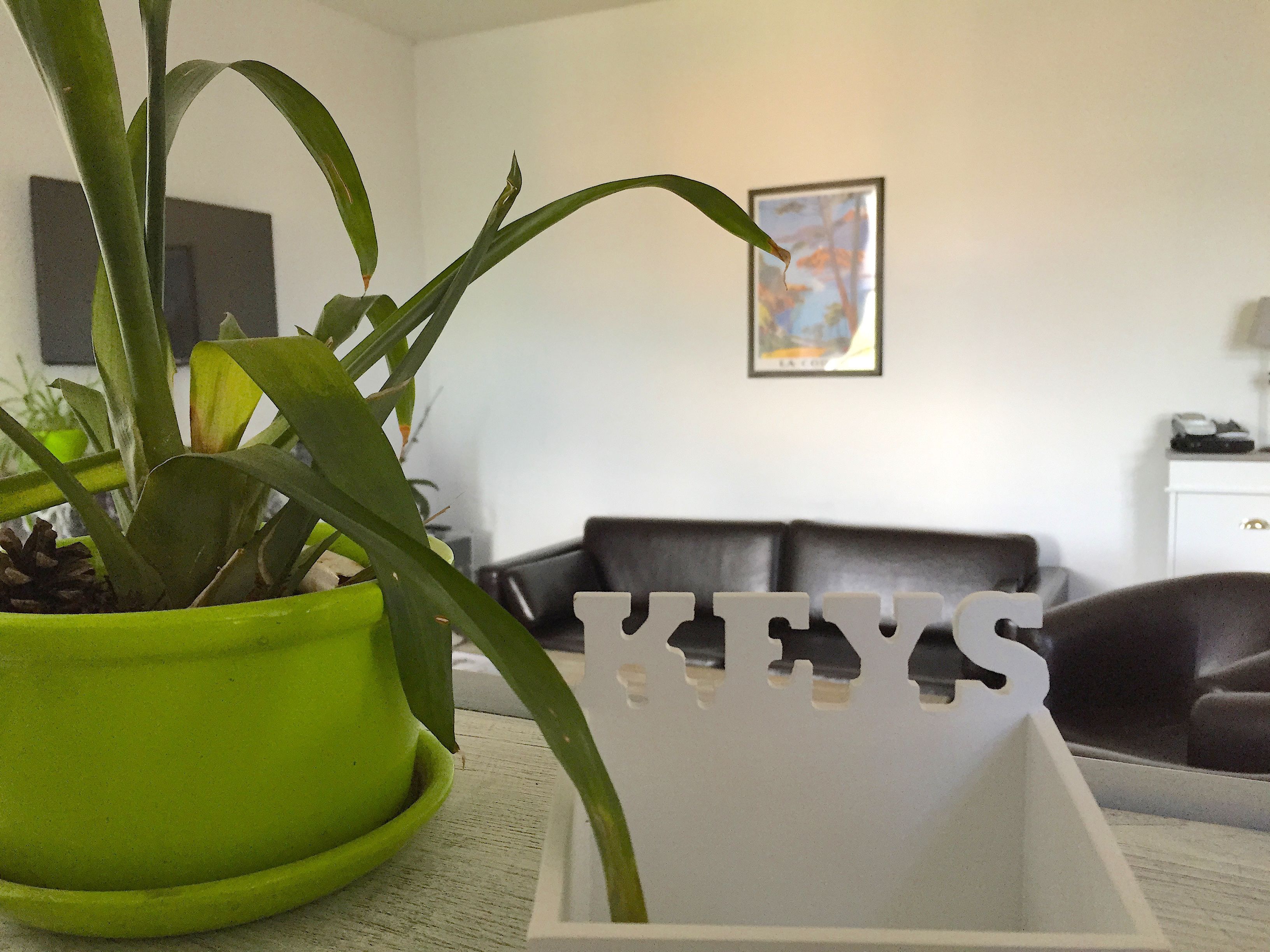 Una sala de estar con una planta verde en maceta, un adorno blanco con letras, un sofá de cuero negro y un cuadro en la pared.