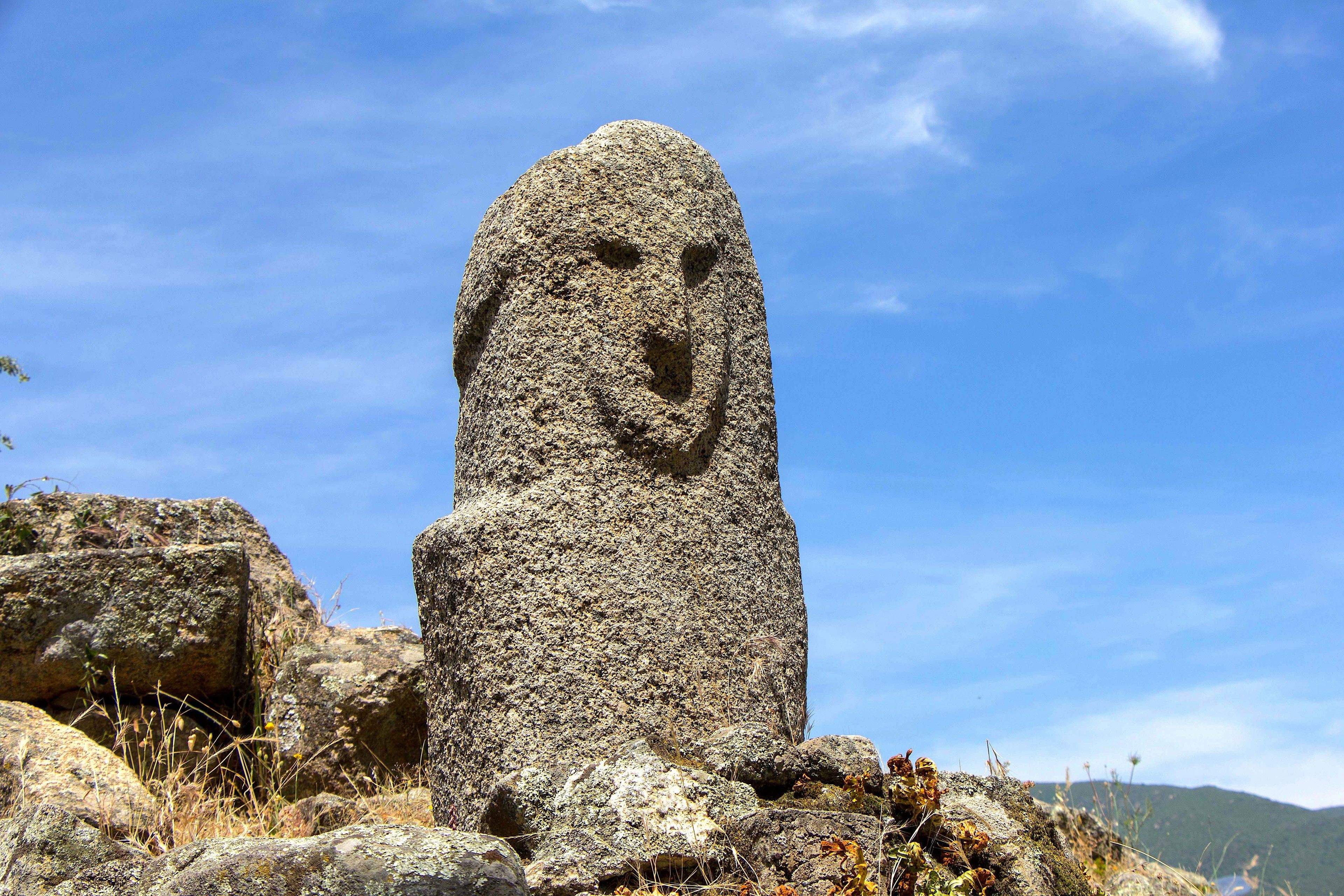 Une grande statue de pierre, dont le visage est sculpté, et qui est entourée de rochers et de végétation.