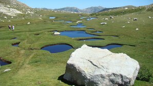 Un paisaje con praderas, varios estanques y una roca grande al frente.