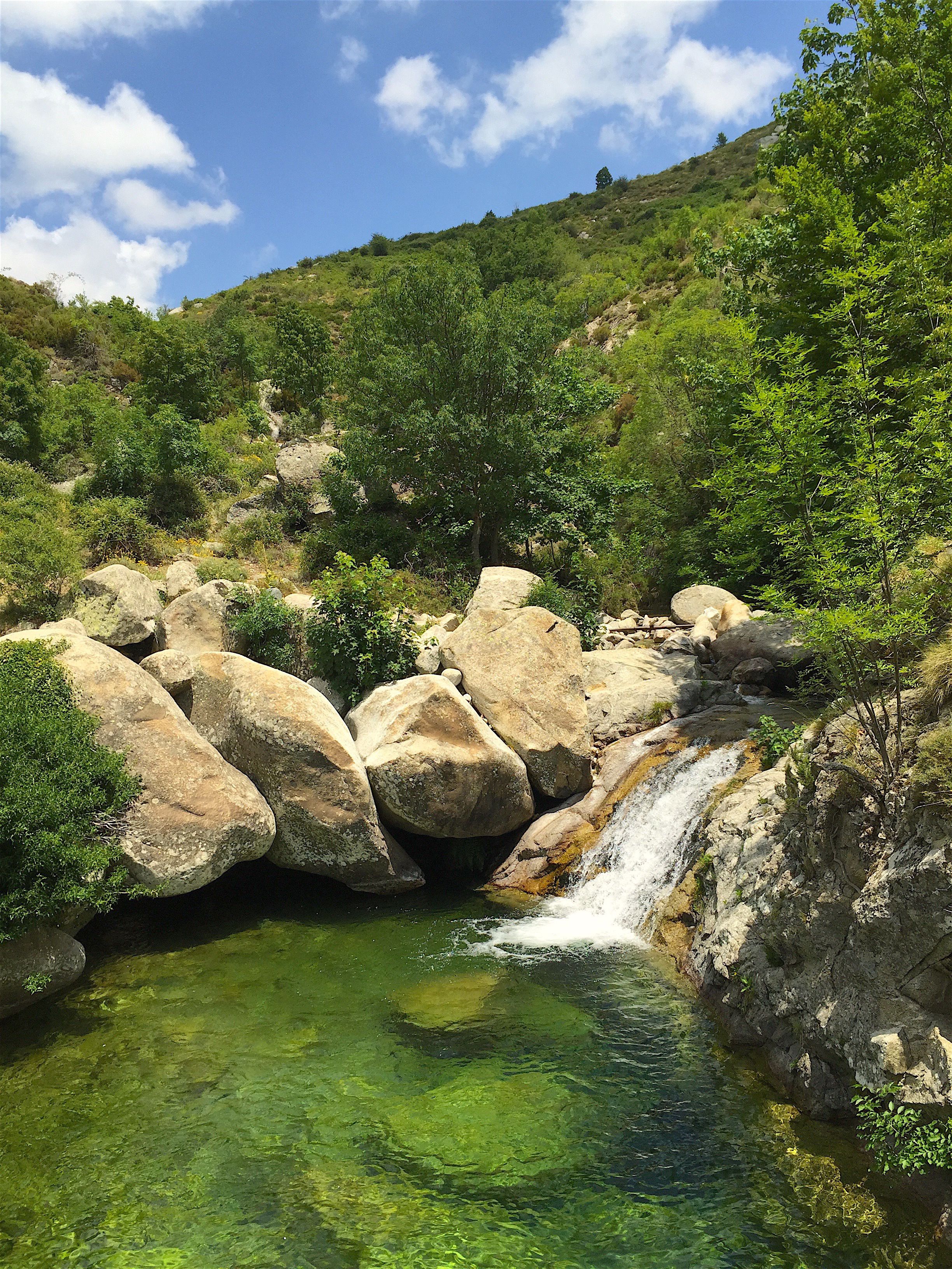 A natural landscape with a clear water stream, large rocks, and lush greenery.