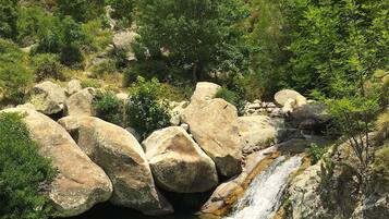 A natural landscape with a clear water stream, large rocks, and lush greenery.