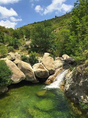 Un paisaje natural con un arroyo de agua cristalina, grandes rocas y abundante vegetación.