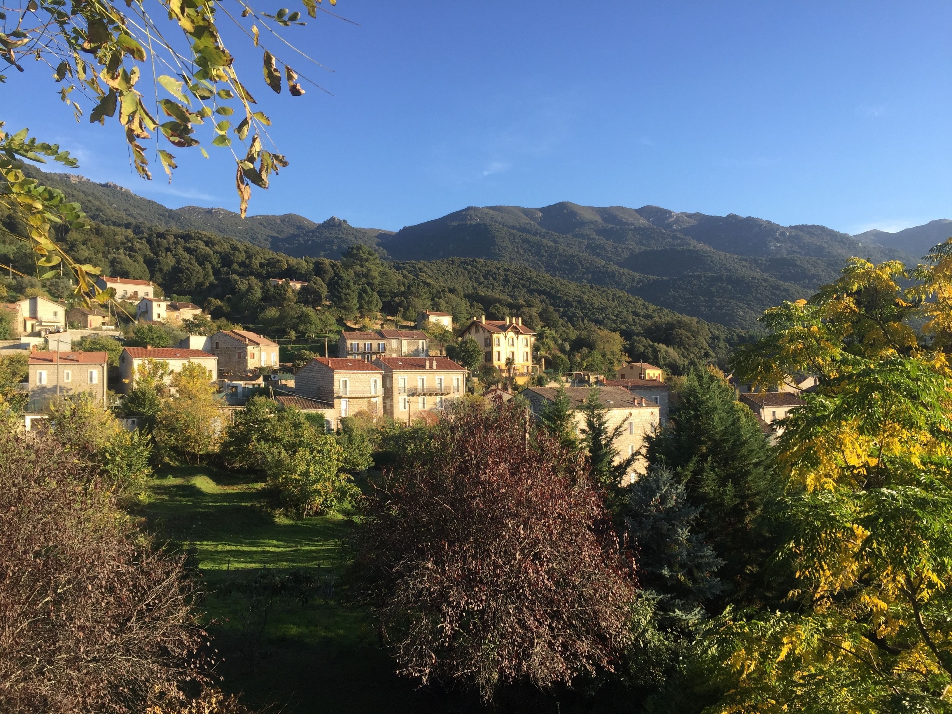 A hillside village with traditional stone buildings, lush greenery, and mountains in the background.