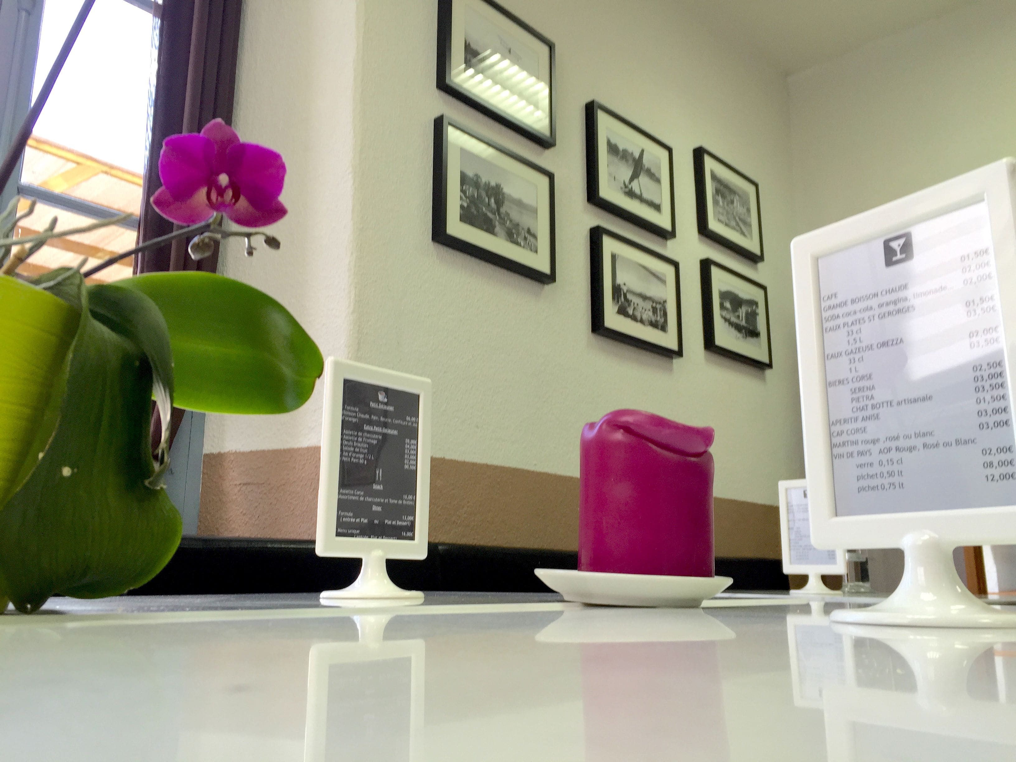 Un mostrador de recepción con un monitor de computadora mostrando un menú, marcos con fotografías en la pared y una planta en maceta con hojas verdes y una flor rosa.