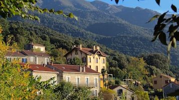 Vista a la montaña