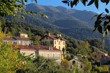 Mountain view