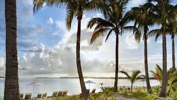 A beach with palm trees, lounge chairs, and a view of the water.