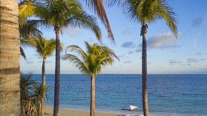 A beach with palm trees and a clear view of the ocean.