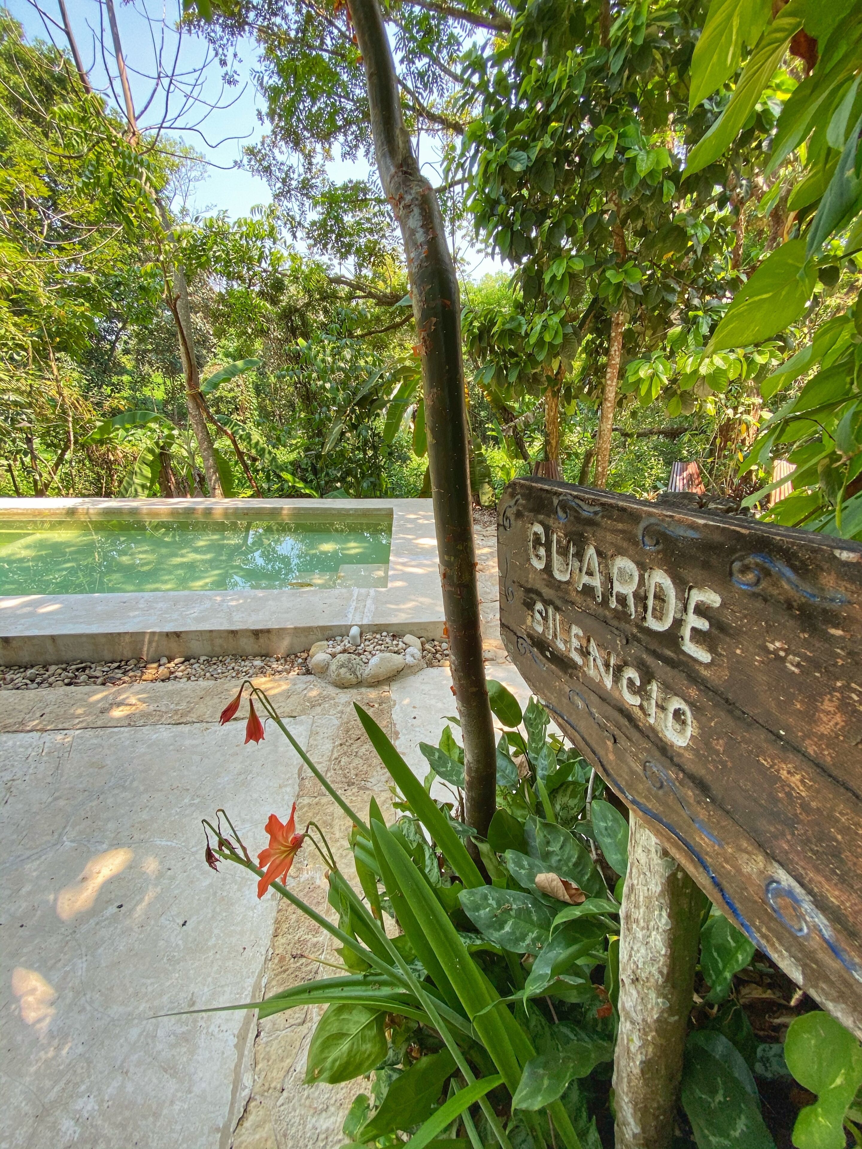 Foto - Piedra de Agua Palenque