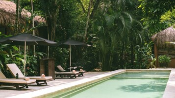 Zona de piscina con sillones de descanso y sombrillas, rodeada de abundante vegetación.
