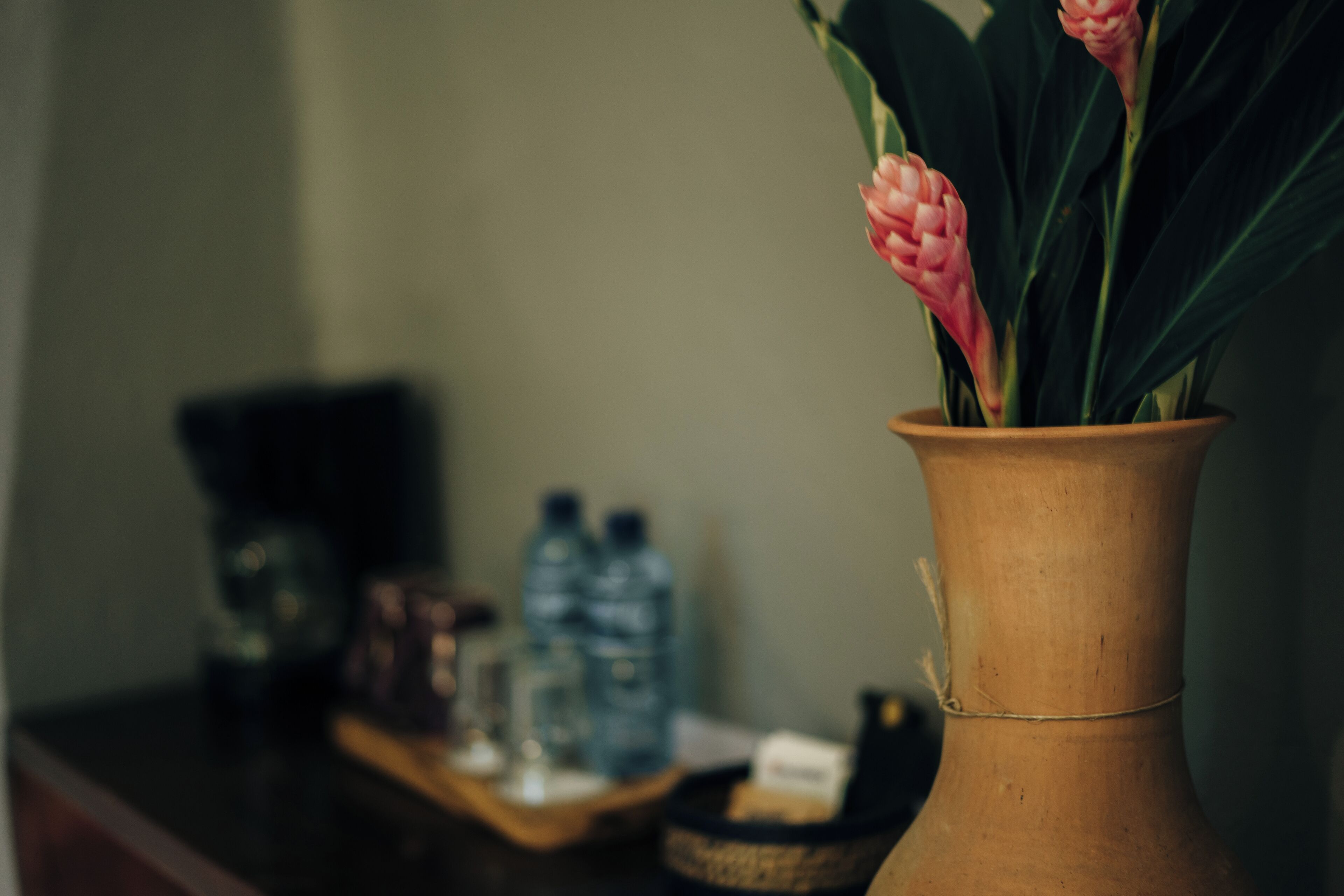 Foto - Piedra de Agua Palenque