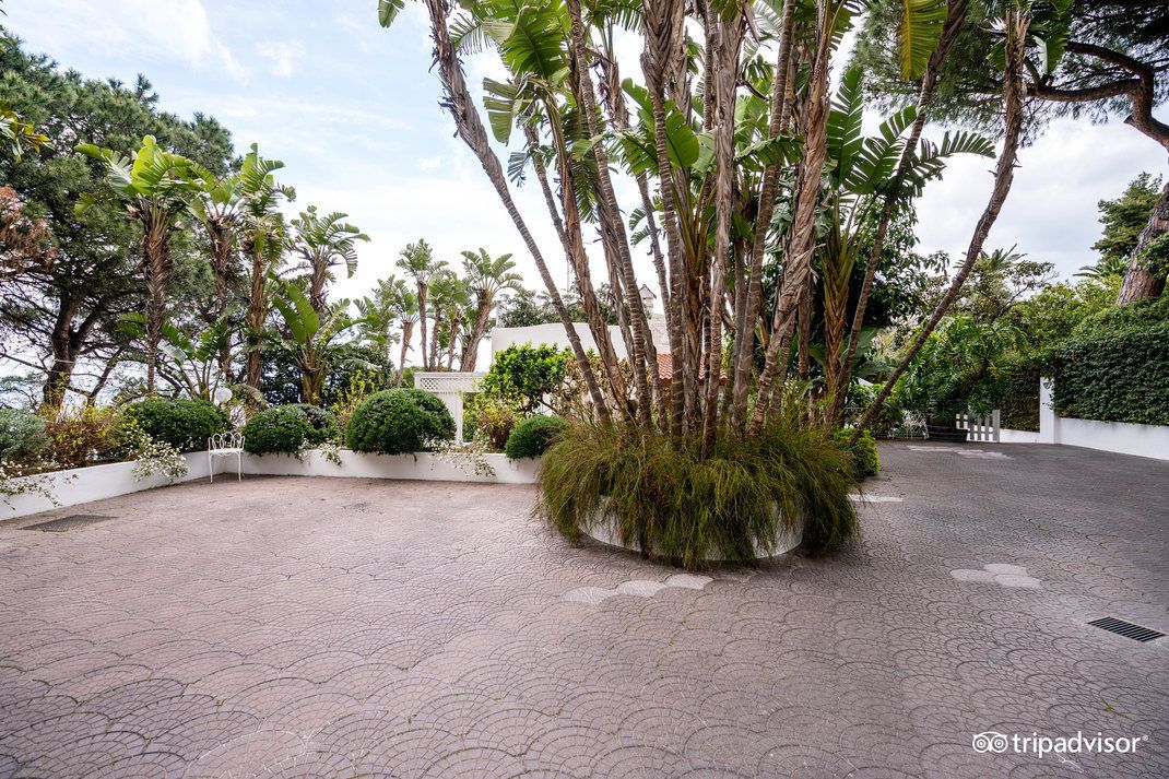 Foto - Villa Marinella