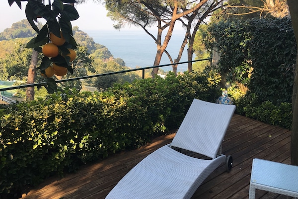 Vista dalla struttura