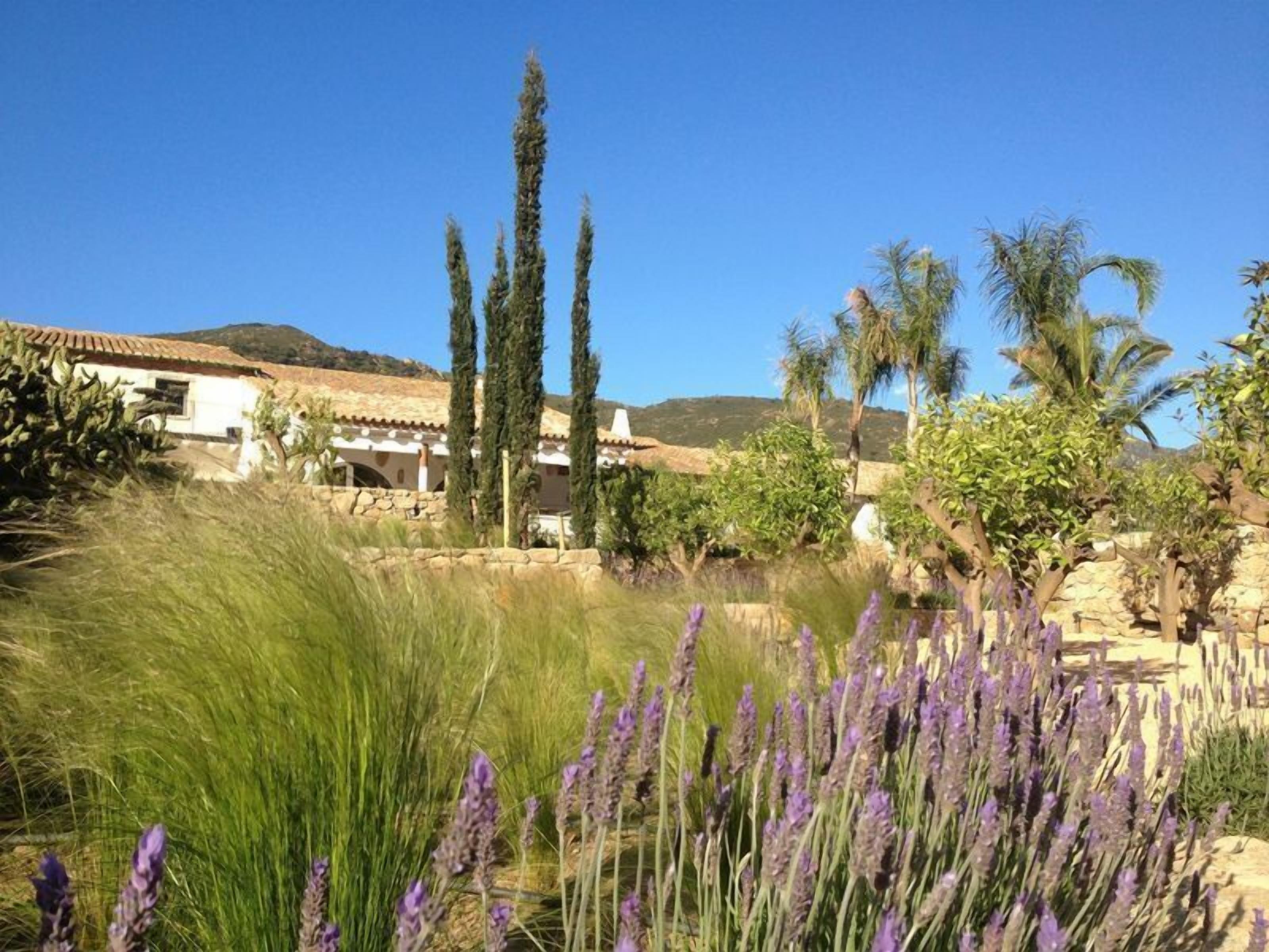 Photo - Hotel Mas Lazuli by Fimedhotels