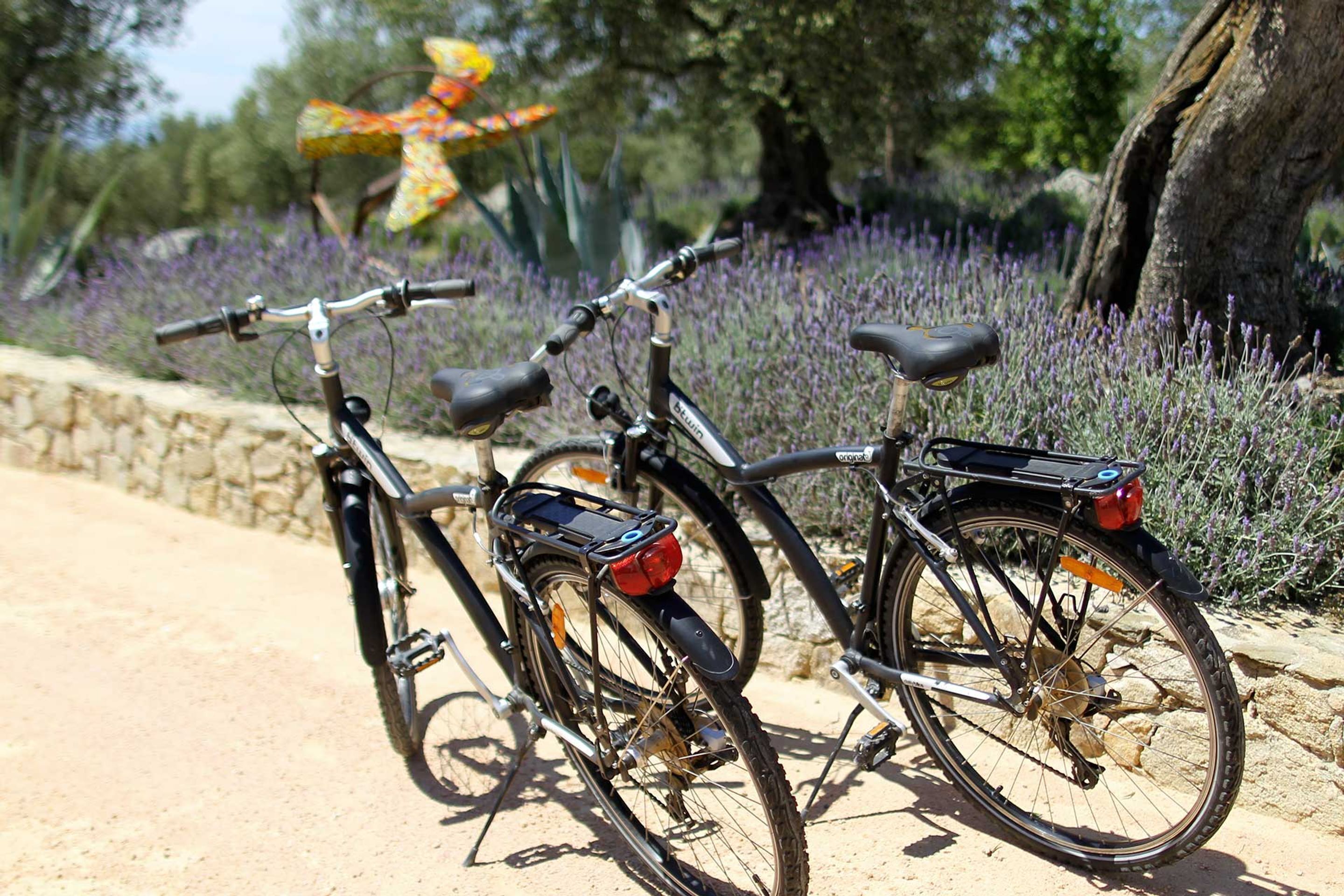 Photo - Hotel Mas Lazuli by Fimedhotels