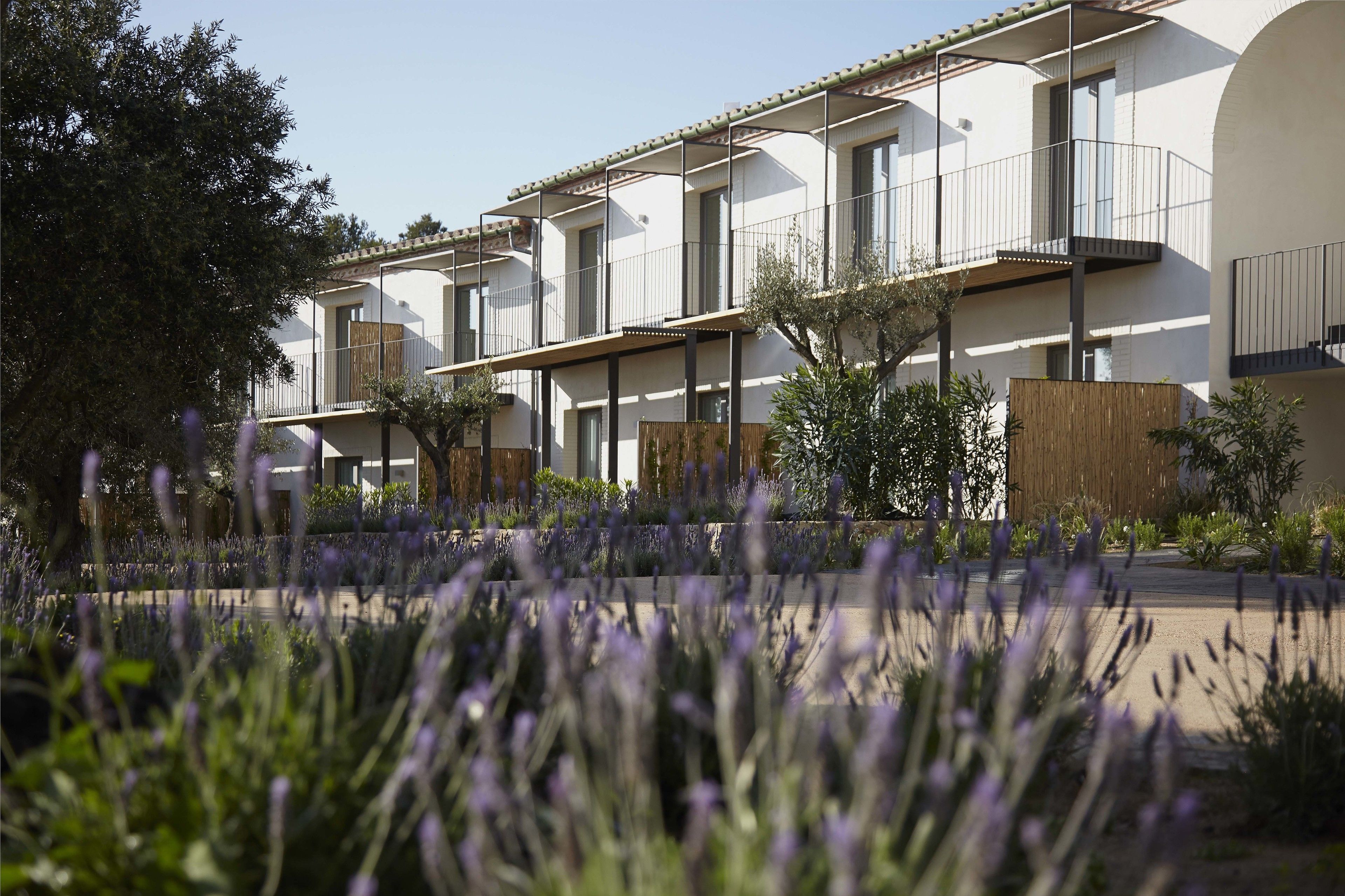 Un edificio residencial moderno con varios balcones, un patio con plantas de lavanda y una cerca de madera.