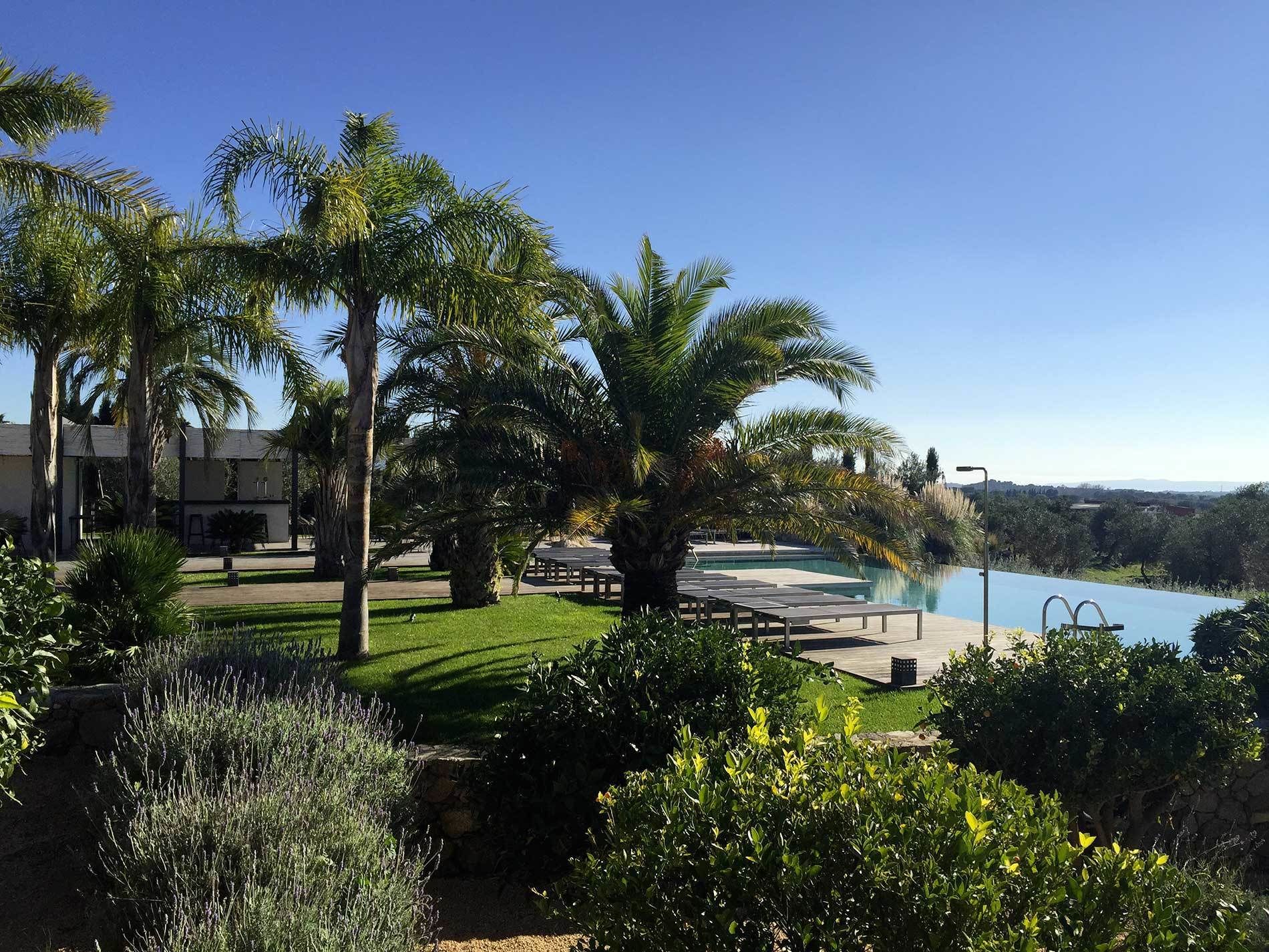 Zona de piscina con vista despejada, rodeada de palmeras y un césped cuidado.