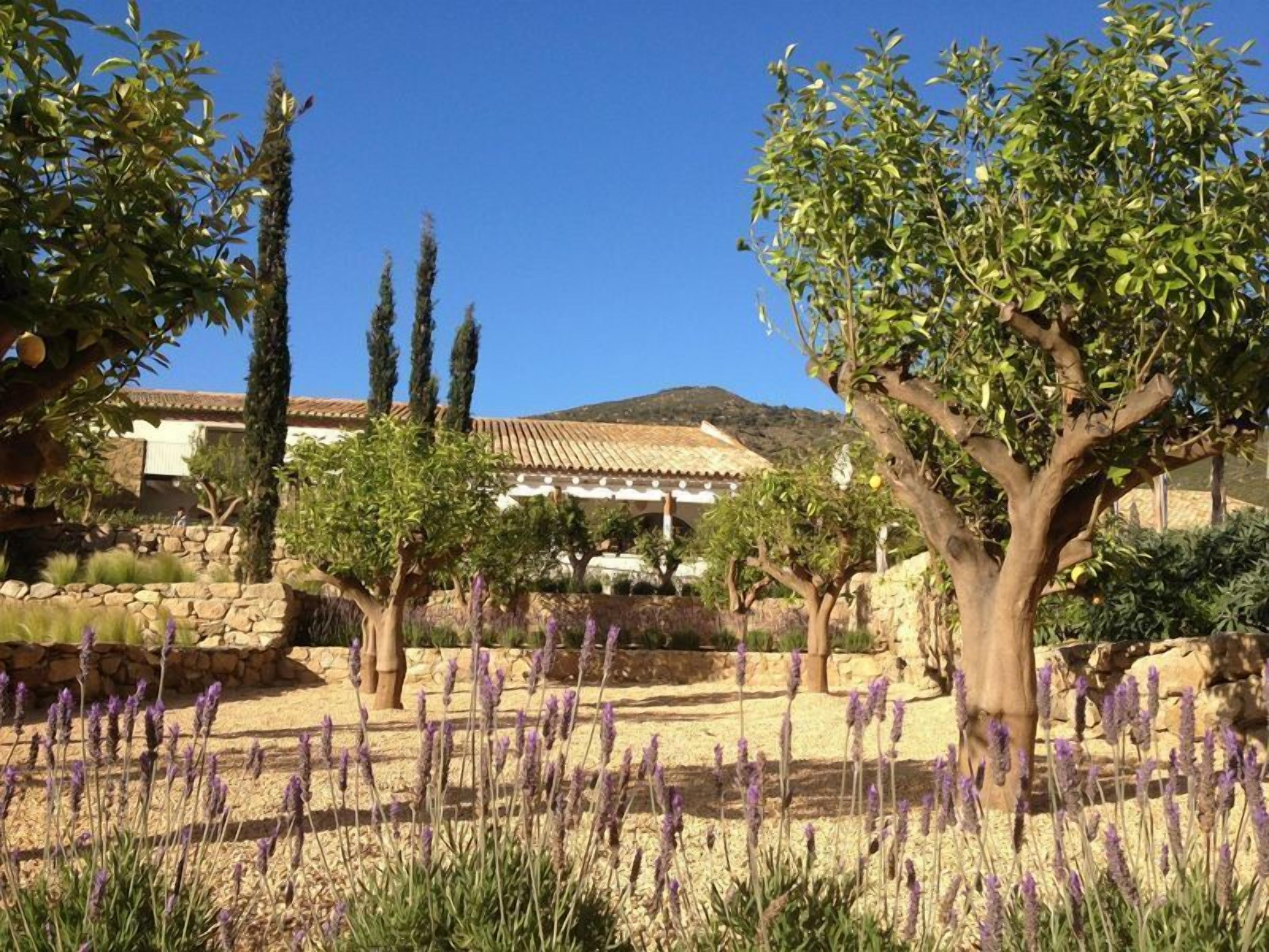 Photo - Hotel Mas Lazuli by Fimedhotels