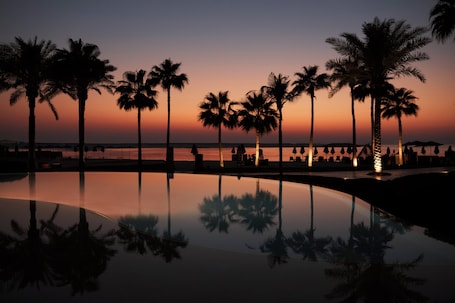 Indoor pool, 2 outdoor pools, cabanas (surcharge), pool umbrellas