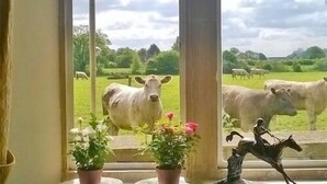 A window with a view of a green field and a statue of a horse. - Battens Farm Cottages - B&B and Self-catering Accommodation (Chippenham)