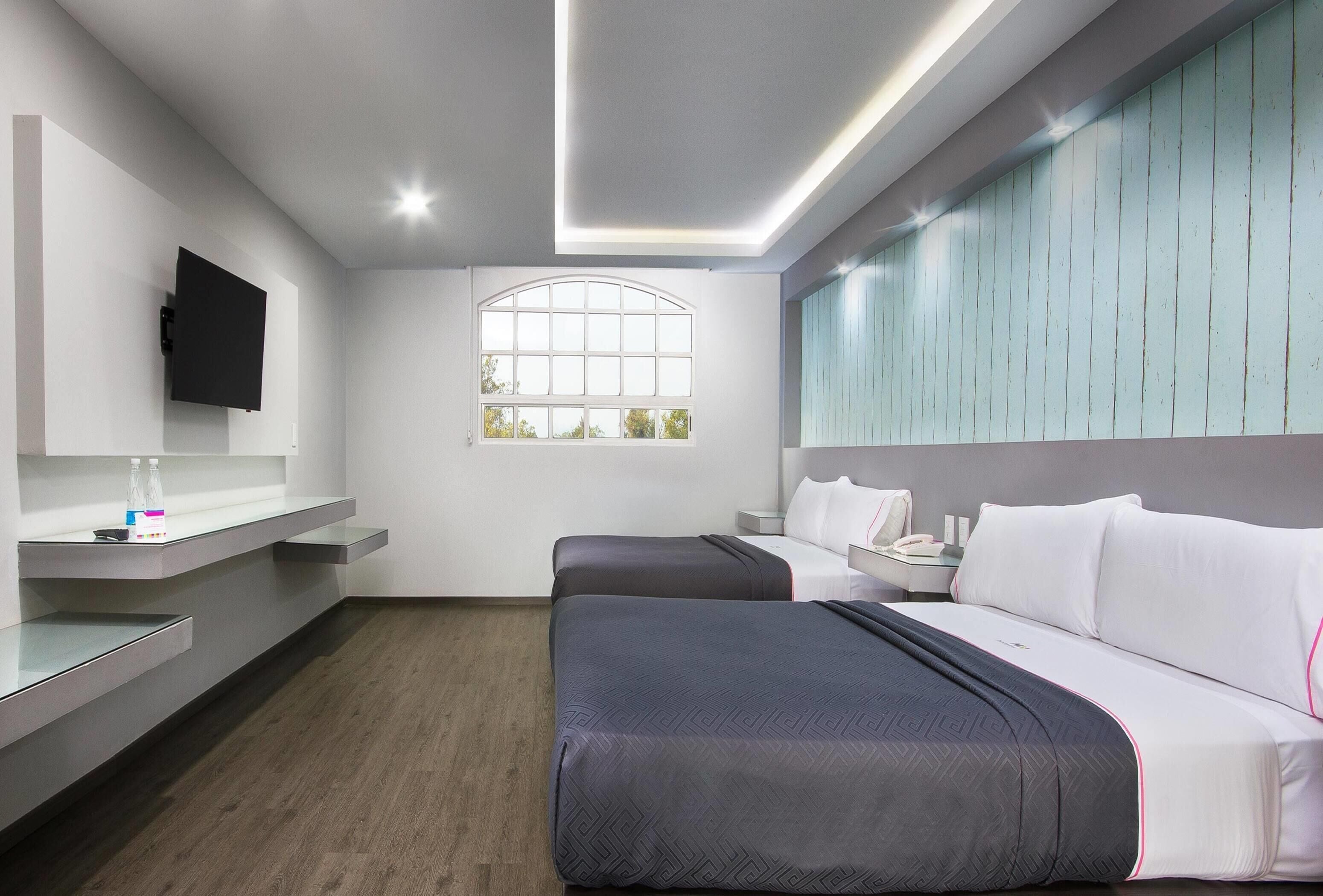 Foto - Hotel MX congreso CDMX, Trademark Collection by Wyndham